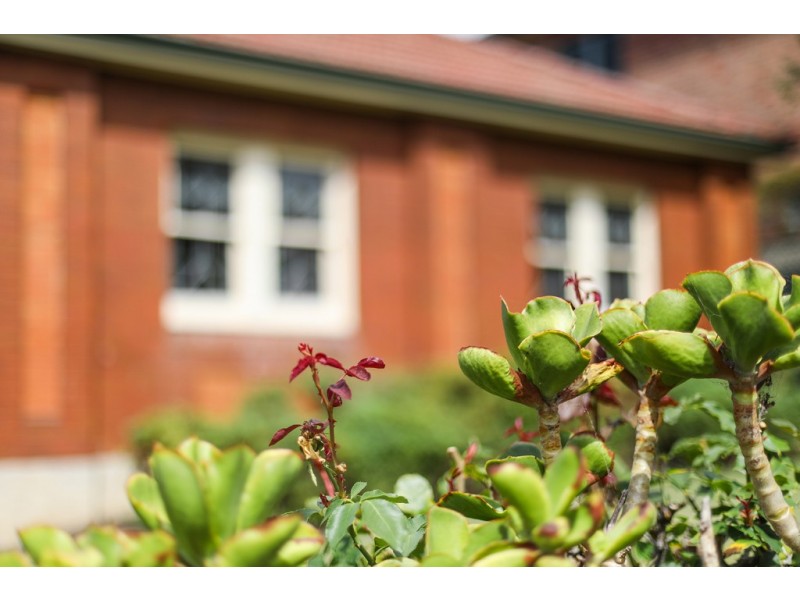 2 Loch Maree Parade, Concord West NSW 2138