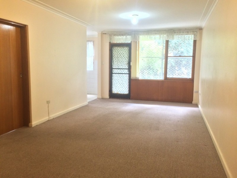 13/8 Orpington Street, Ashfield NSW 2131