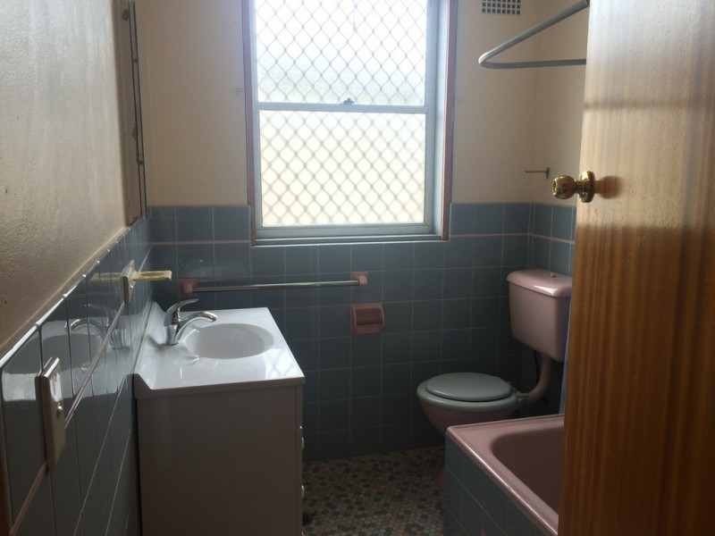 13/8 Orpington Street, Ashfield NSW 2131