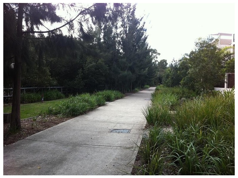 16/81 BERTRAM STREET, Mortlake NSW 2137