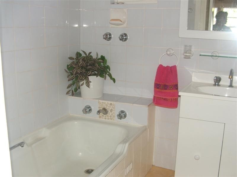 6 FREDERICK STREET, Concord NSW 2137