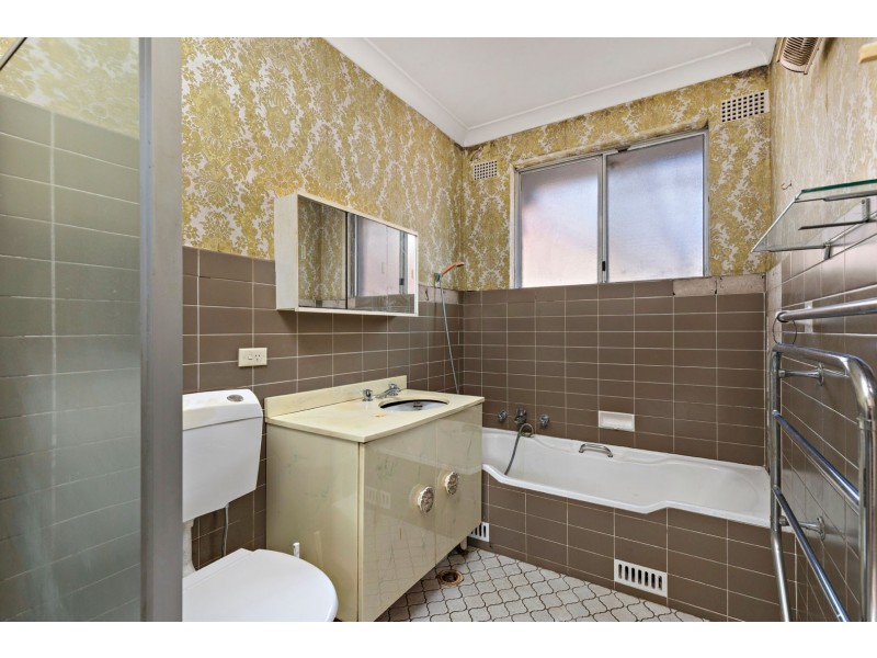 19 Cheltenham Road, Croydon NSW 2132