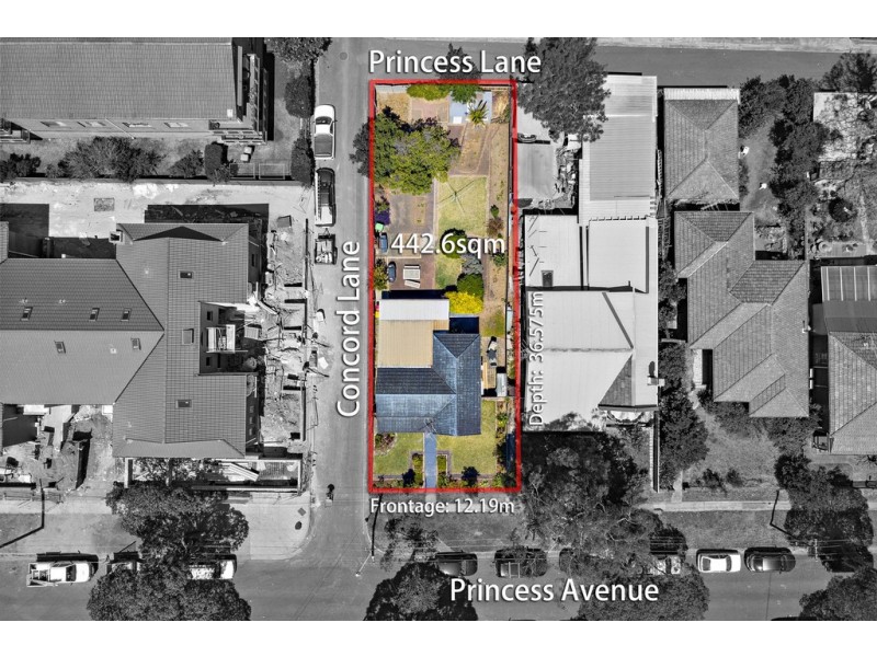 2 Princess Avenue, North Strathfield NSW 2137