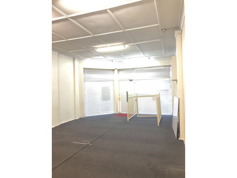 219 Concord Road, North Strathfield NSW 2137