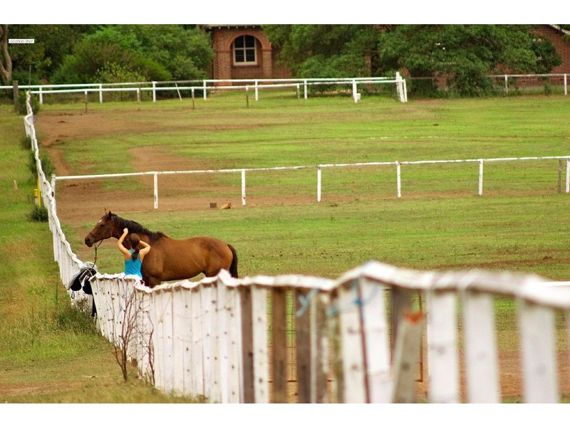 38 Hospital Road, Concord West NSW 2138