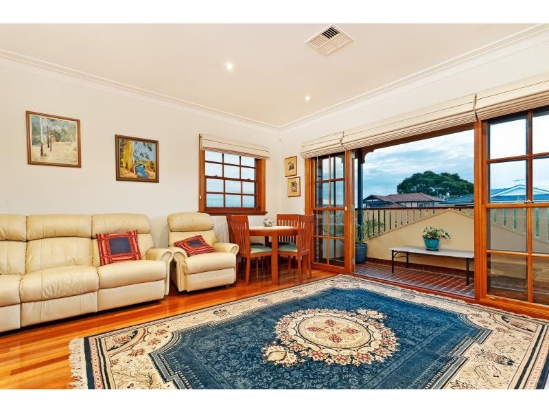 20 Princess Avenue, Rodd Point NSW 2046