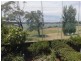 17 Sanders Parade, Concord NSW 2137