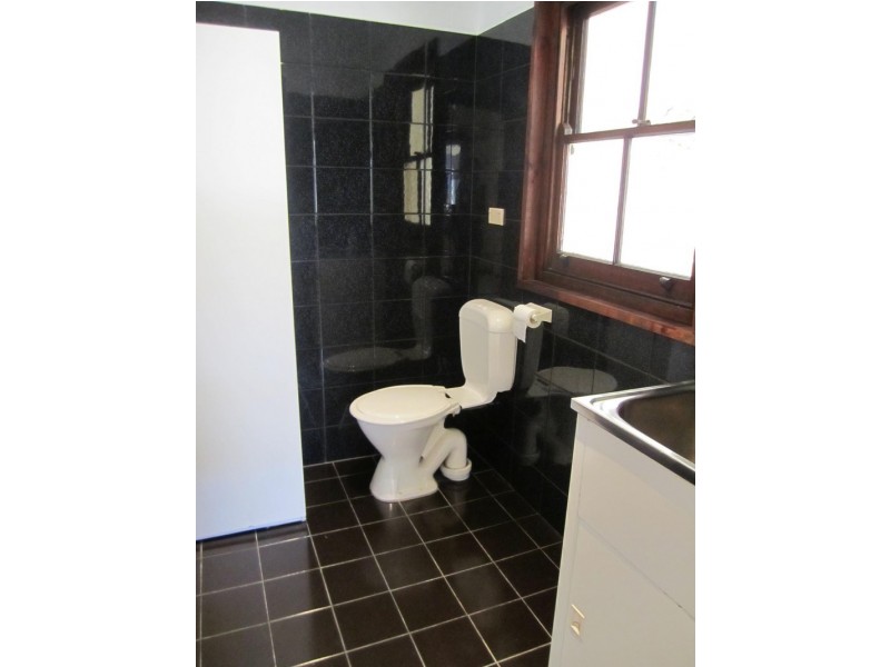 47 Colane Street, Concord West NSW 2138