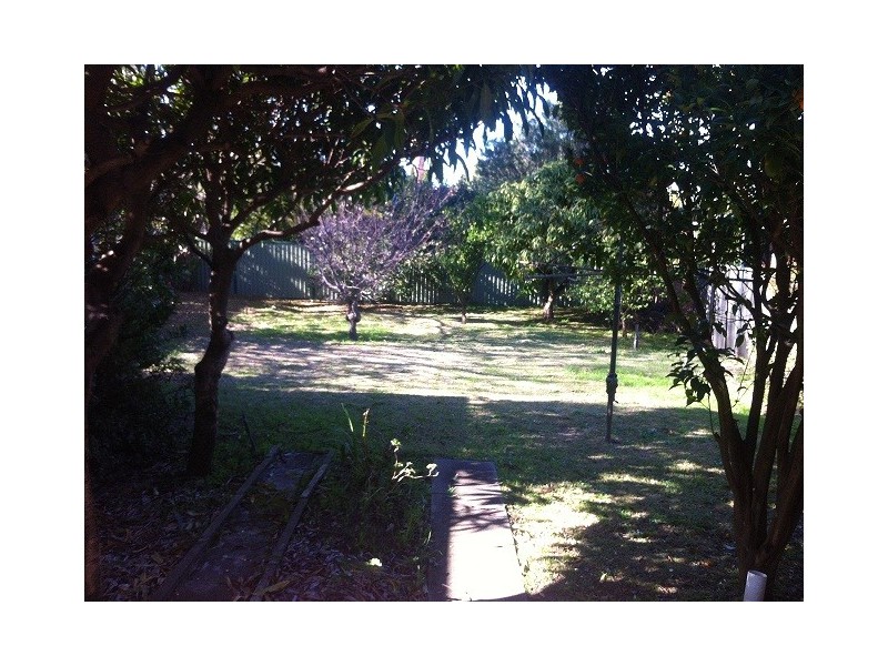 8 Hospital Road, Concord West NSW 2138