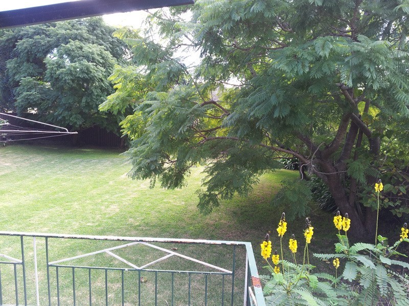 1c Wellbank Street, Concord NSW 2137