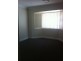 50 Wellbank St, Concord NSW 2137