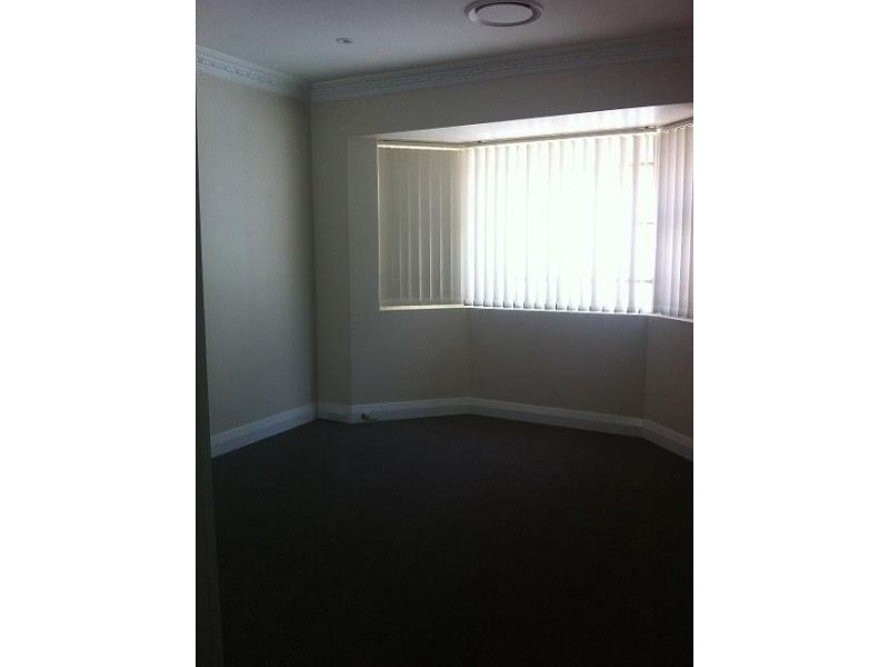 50 Wellbank St, Concord NSW 2137