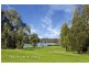 43 Cabarita Road, Concord NSW 2137