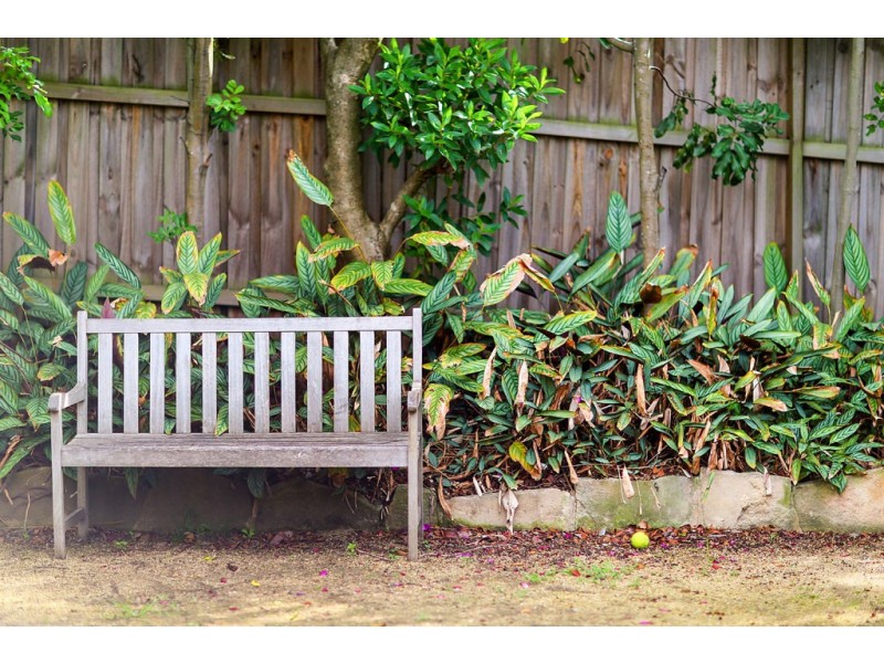 7 Kentwell Avenue, Concord NSW 2137