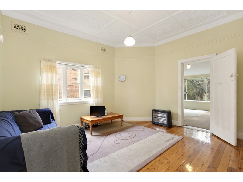 33 Princess Avenue, North Strathfield NSW 2137