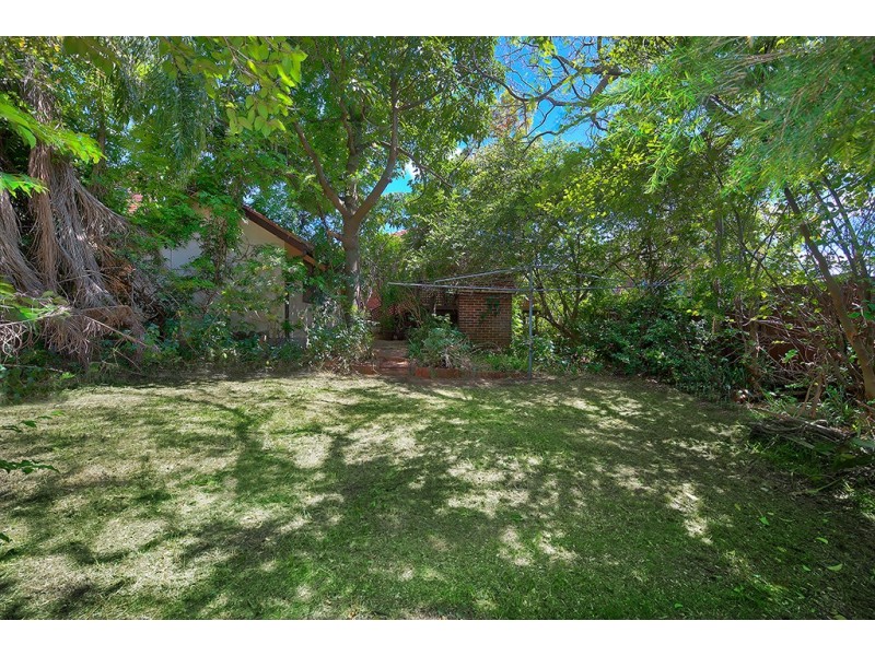 14 Myall Street, Concord West NSW 2138