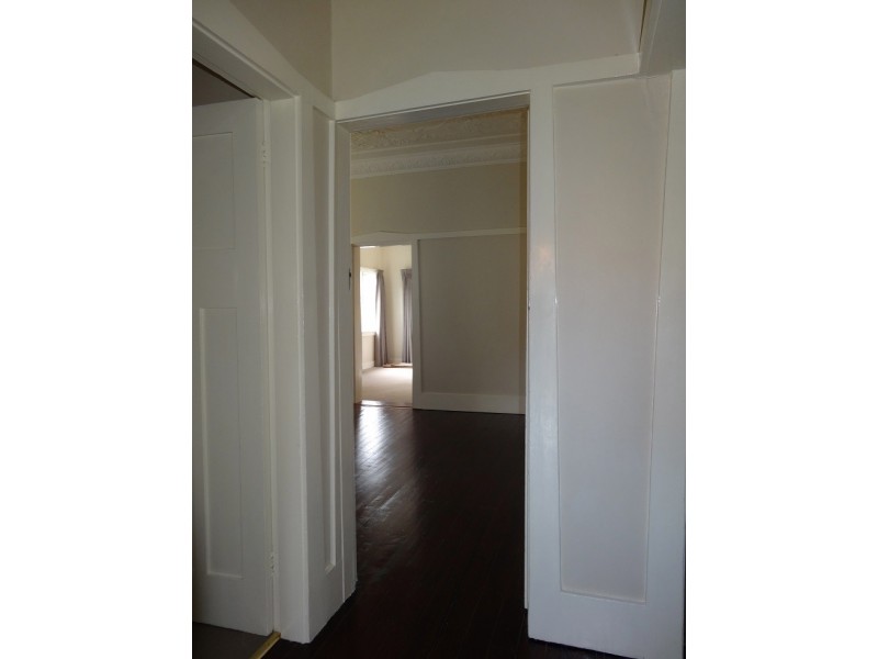 58 Badminton Rd, Croydon NSW 2132