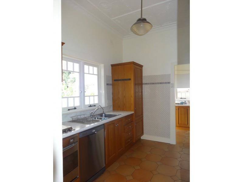 58 Badminton Rd, Croydon NSW 2132