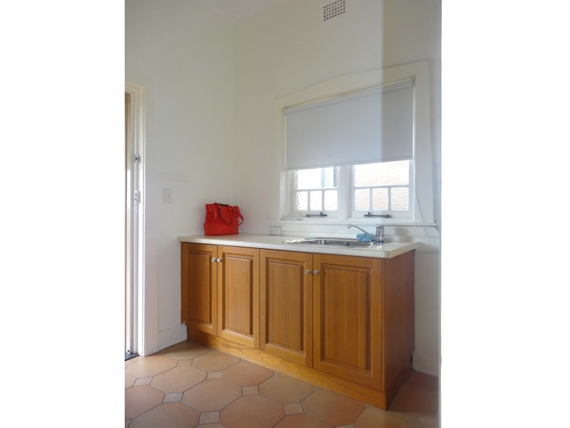 58 Badminton Rd, Croydon NSW 2132