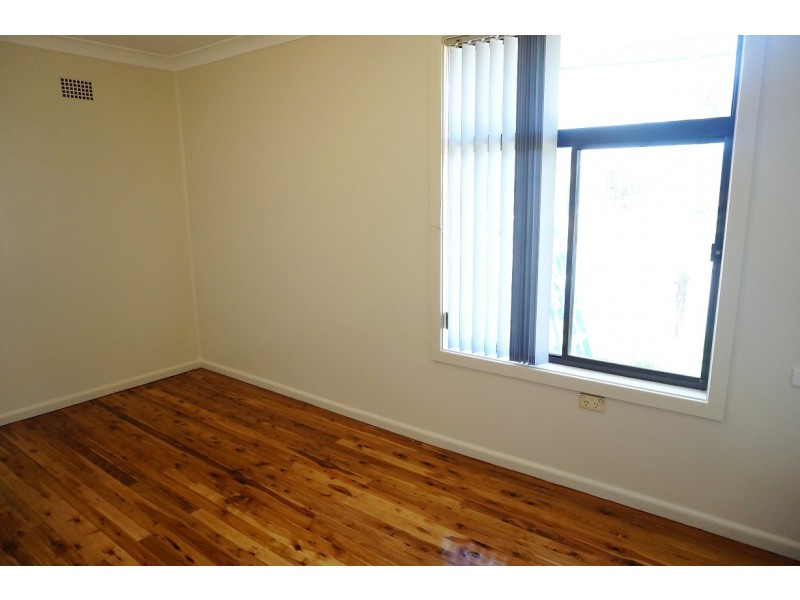 166 Carlisle Ave, Blackett NSW 2770