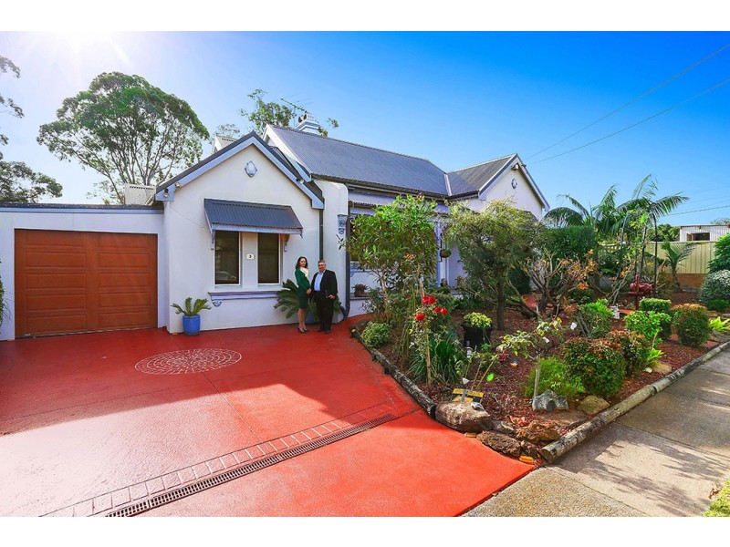 3 Princess Avenue, North Strathfield NSW 2137