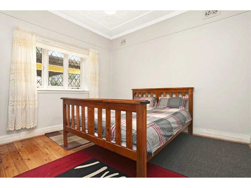 33 Princess Avenue, North Strathfield NSW 2137