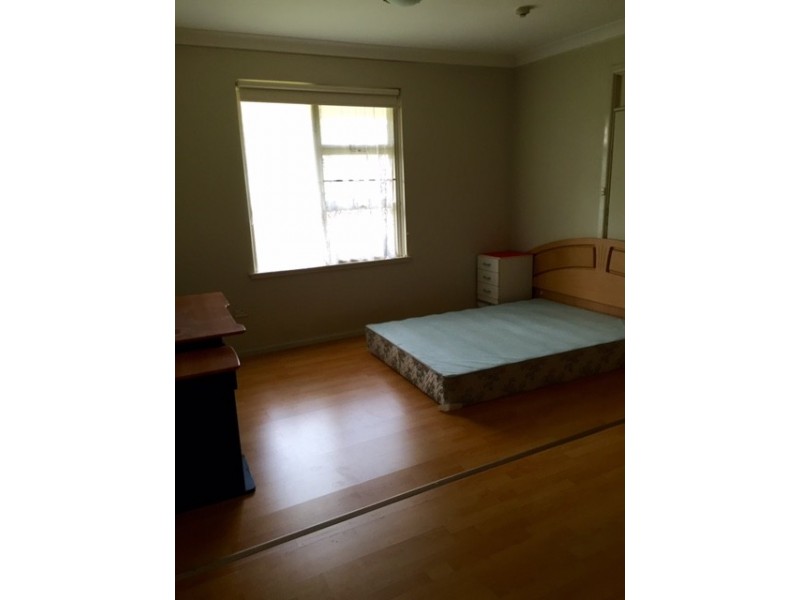 17 Brady Street, Croydon NSW 2132