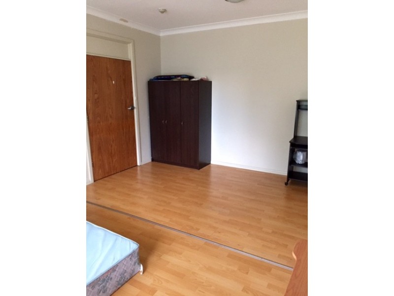 17 Brady Street, Croydon NSW 2132