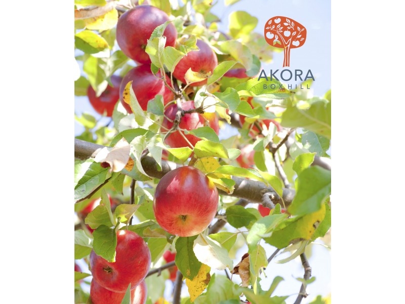 72-76 Terry Road, Box Hill NSW 2765