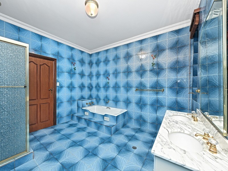 14 Homedale Avenue, Concord NSW 2137