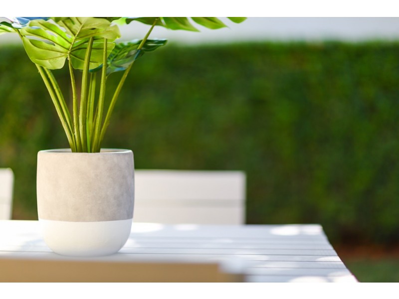 157 Cabarita Road, Cabarita NSW 2137