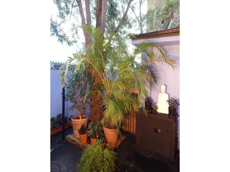 225-227 Cope Street, Waterloo NSW 2017