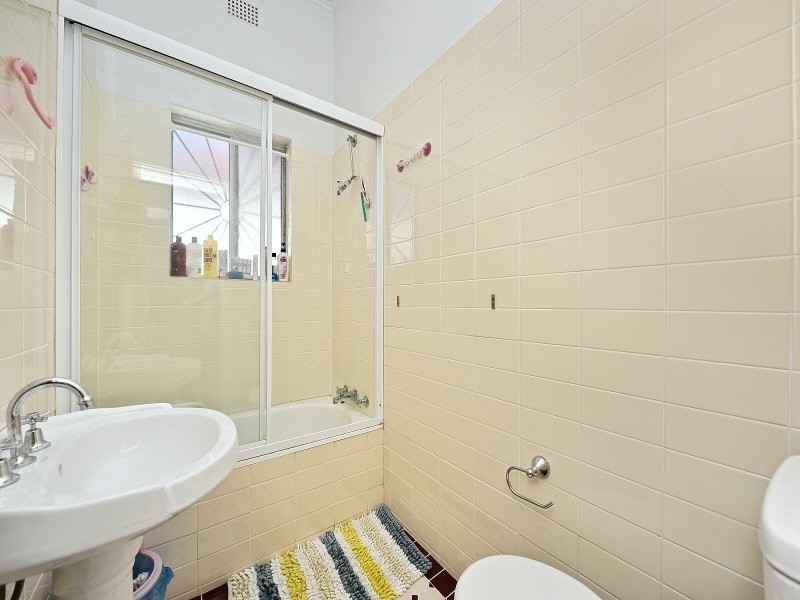 17 Orchard Street, Croydon NSW 2132