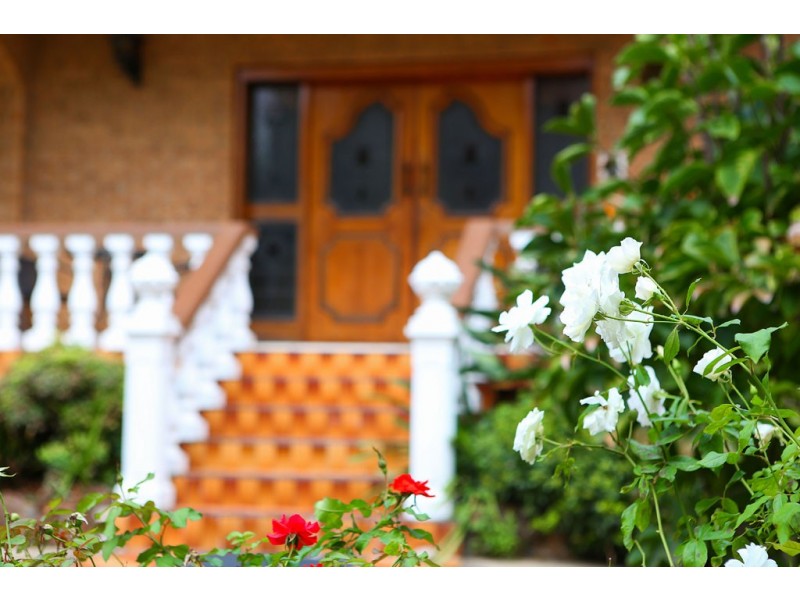 14 Homedale Avenue, Concord NSW 2137