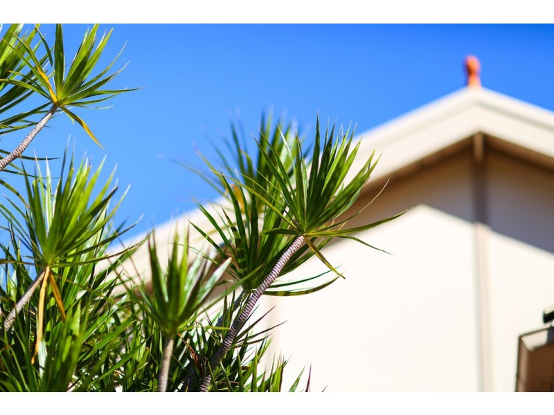 68 Flavelle Street, Concord NSW 2137