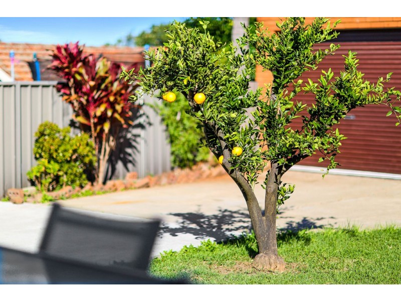 68 Flavelle Street, Concord NSW 2137