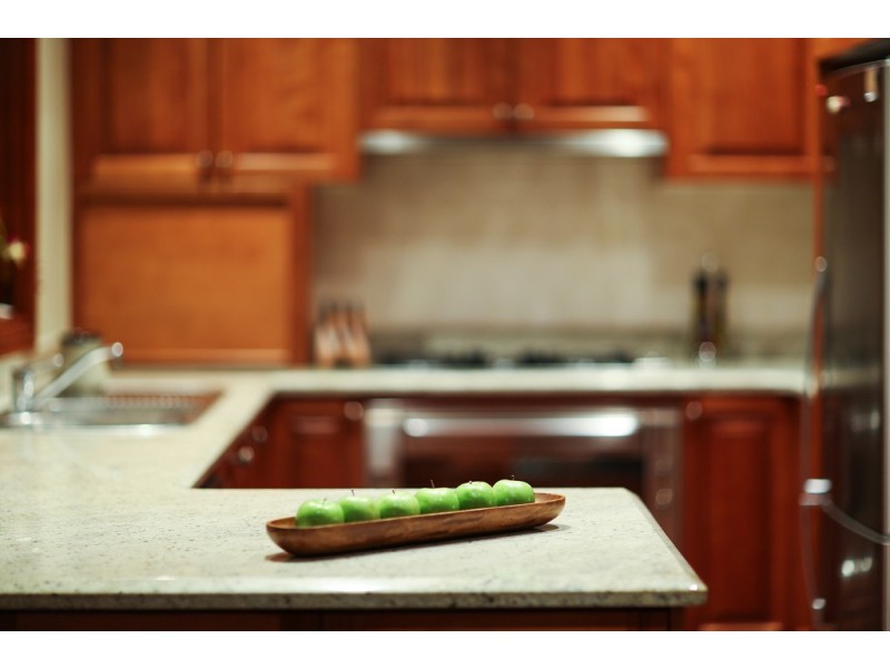 110 Burlington Road, Homebush NSW 2140