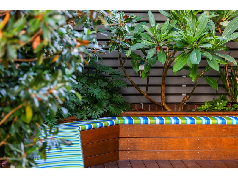 11 Watkin Street, Concord NSW 2137