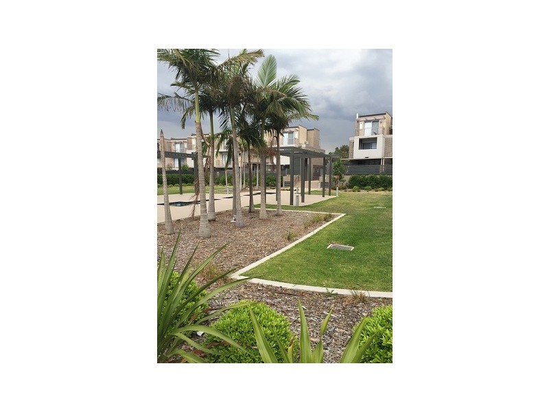 319A/81-86 Courallie Ave, Homebush West NSW 2140