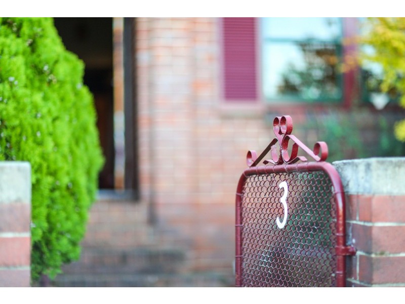 3 Boronia Street, Concord West NSW 2138