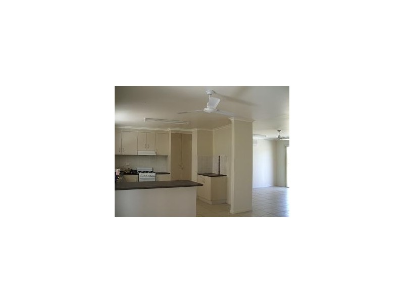 Nebo QLD 4742