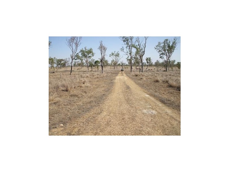 Nebo QLD 4742