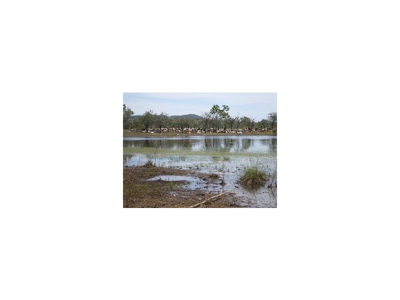 Nebo QLD 4742