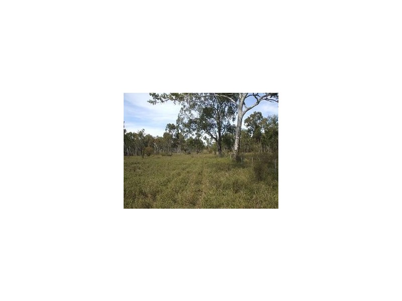 Nebo QLD 4742