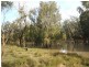 Nebo QLD 4742