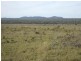 Nebo QLD 4742