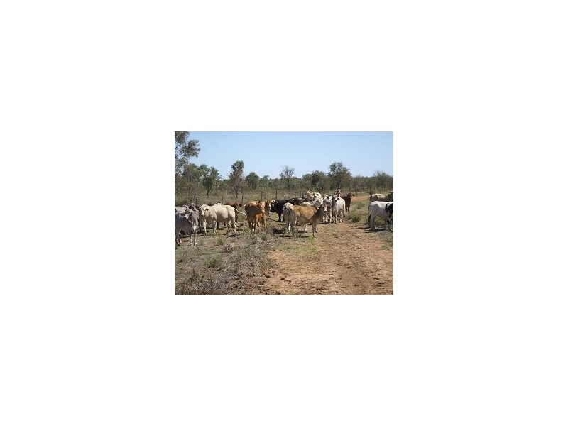 Nebo QLD 4742