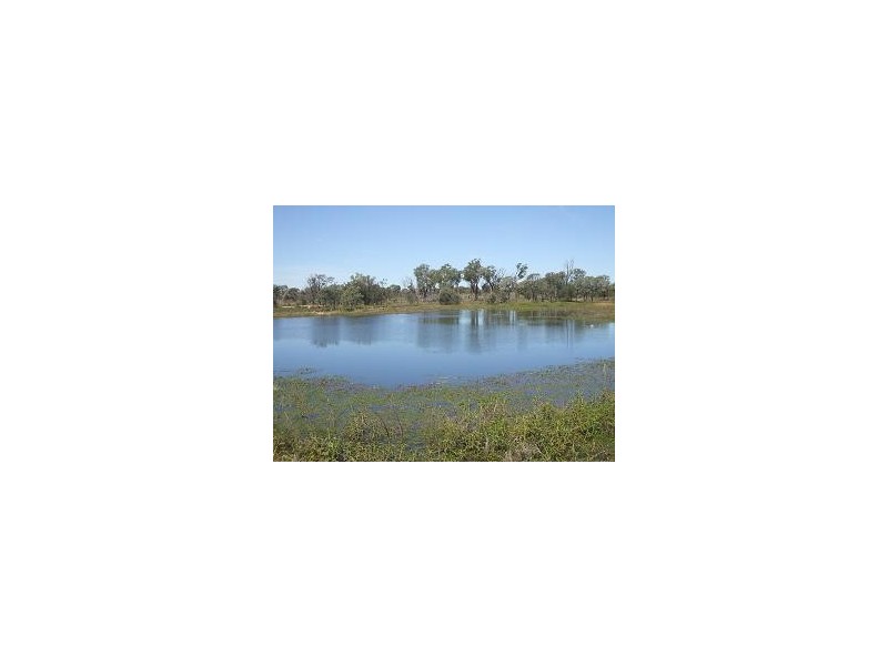 Nebo QLD 4742