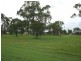 Nebo QLD 4742