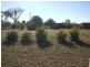 Nebo QLD 4742